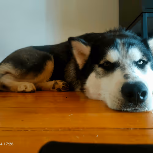 Untitled Collection #85559614