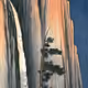 66745317265103117379034032902710474716008132939342734130261549551068431515649