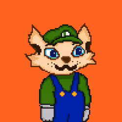 #0109 Luigi