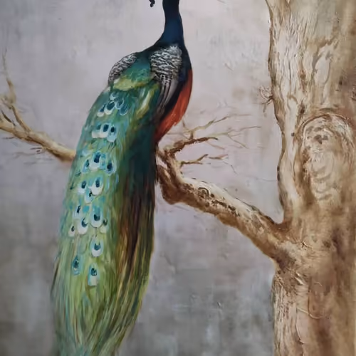 peacock