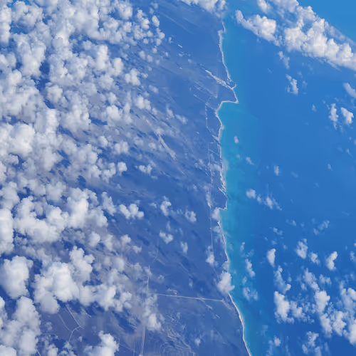 Untitled Collection #170041705