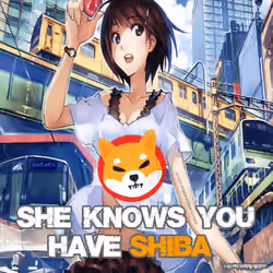Shiba Crypto - Hay Wait Up