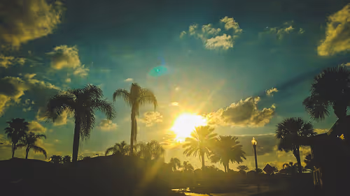 Item #93733275809308755757503475852575142382526812596278702282935670390003297419265 Media