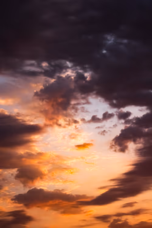 Item #55135426096322364655420066995974600531857551702257850821619999630824621211649 Media