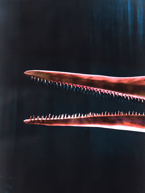 Item #111363445985459293616531591418406222693866722477509914610744344965819083522049 Media