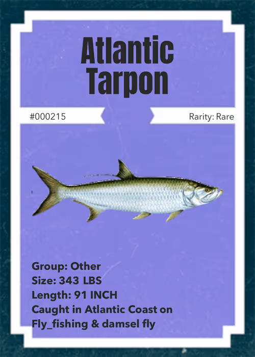 Item #43502264269384842523243150070095810631836830099831581701628992056015036874753 Media