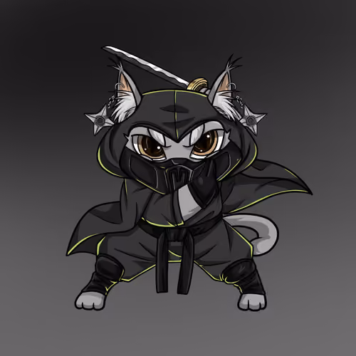 Ninja Kitty #1