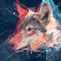 11276162529628641556553056529614973332754405277106184420845745276409847218177