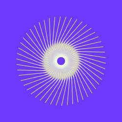 Trip #8 | Rotating Trips