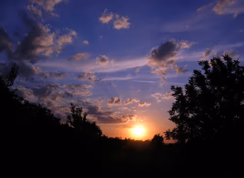 Item #55297223282317197917185791022658401724226762533250968792427961321228792233985 Media