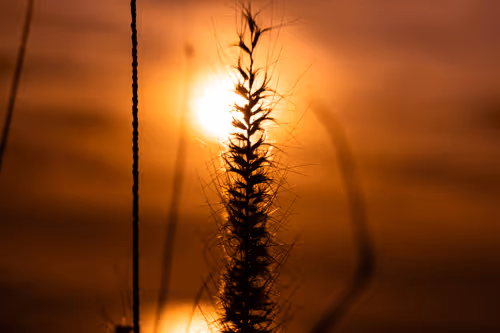 Item #109490832129019688530510015622516671857324775840030093758317008317298094637057 Media