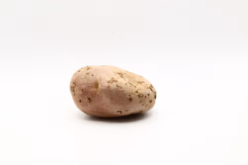 Item #97726151104522163495278545296769301934737660224123995419035737053120742555649 Media