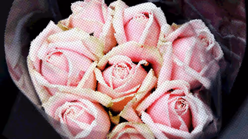 Item #75866091947728652238534111254584504918190435733442380629681527394431395692545 Media