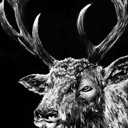 Elk Bust