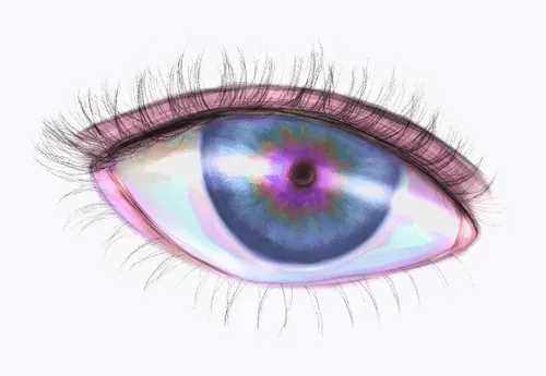 Item #42950694591796666568266939449637019646211598636303907727097118060607965233153 Media