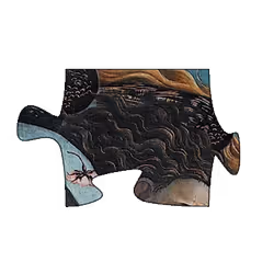 75422050829207020223155639576581706124142298038255743959433826851719378632728