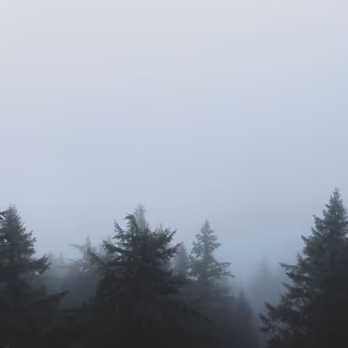 2005862319158051831365229387864138466486092287762213337058068729624631705601