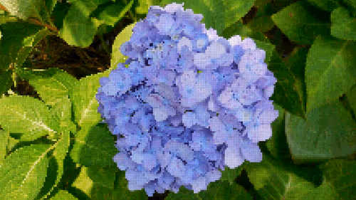 Item #75866091947728652238534111254584504918190435733442380629681527385635302670337 Media