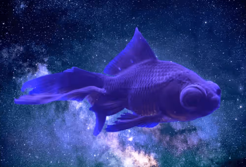 64831065688873909434537665941137318682836571431209528516298654535171178496005