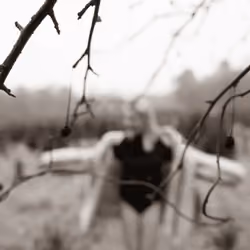 Twigs and Berries (B&W)