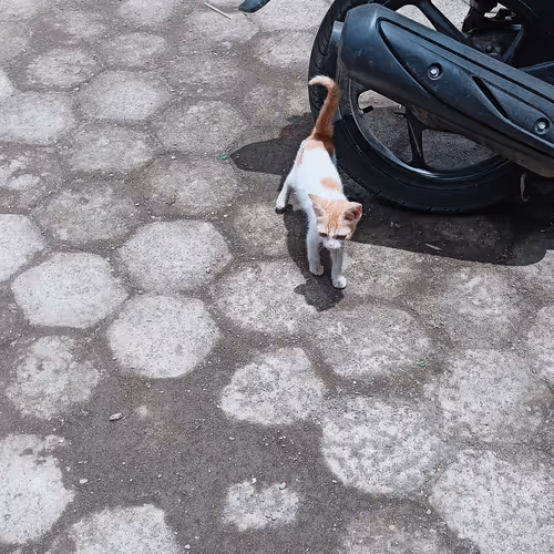 101088201051871599420805356495502080668270270584626298328858033973814146105345