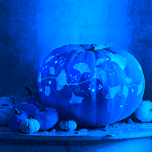 Item #15081463501546268006596121588316872326209313817998412847676537109431340498945 Media