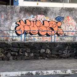 CUSO 7