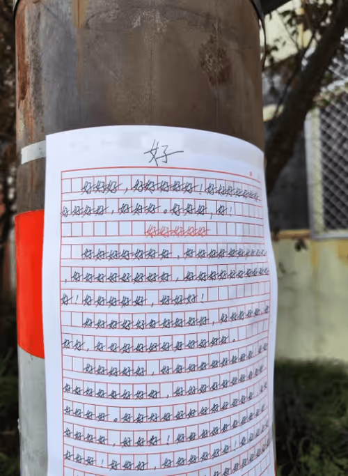 Item #93461176747039088234827245090120793672772540830640058808582334175792284565505 Media