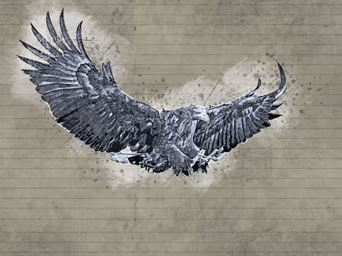 Item #11276162529628641556553056529614973332754405277106184420845745692025242517505 Media