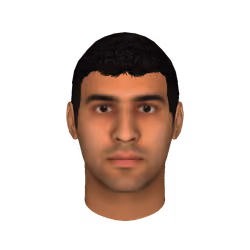 Video of expressions/ gestures combined simulation