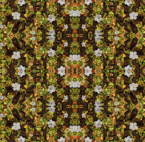 Item #113781195238172772239803806738047035899898469948787948788221024553446726959106 Media