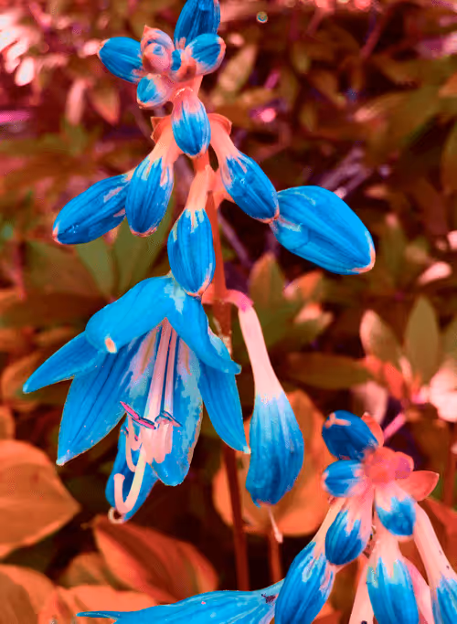 Item #53308188614165939190022800587925776763215599610313940970798170361326676738148 Media