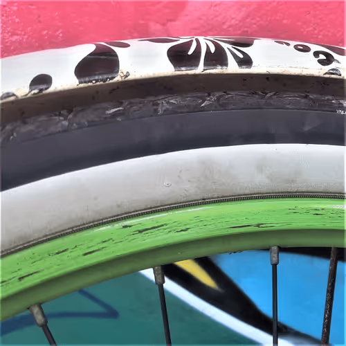 Item #51107028403931991835329534031498650772266658764783547759528015660739693903873 Media