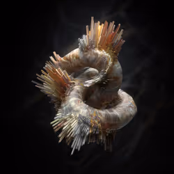 77898949108547955850781157610654916283937467032158407396598647714923147165697