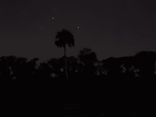 Untitled Collection #73222023