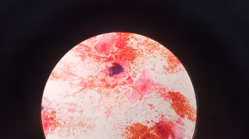 Item #54745154985906596137061195666257221774112717625342458029327300517086757912577 Media