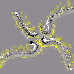 23807547862851357141853996565894485523710675712964198116484924980419767566337