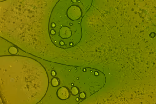 Item #25248765690261585435434482314818899014355955401617162377978101868302230880257 Media