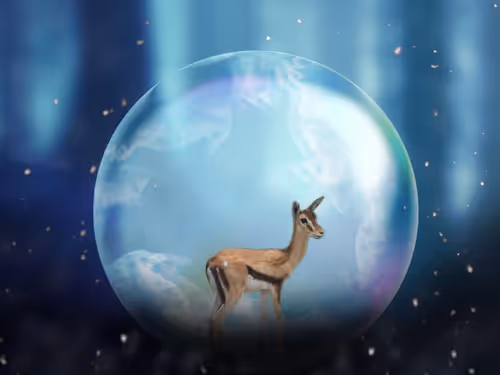 Item #115232870370577477461581822624034906619609473501276366319453953480716055478273 Media