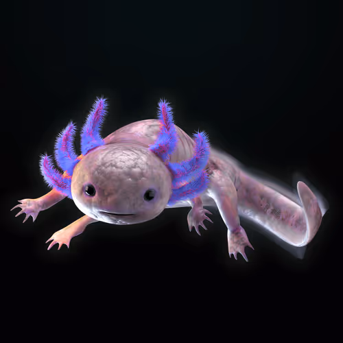 Item #39982110375740153587505644478940195082872270202471884348459982338215265697793 Media