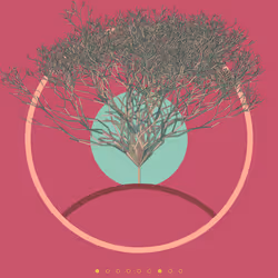 74168867016011539093366687608765447348507224284888477074887988732515248504833