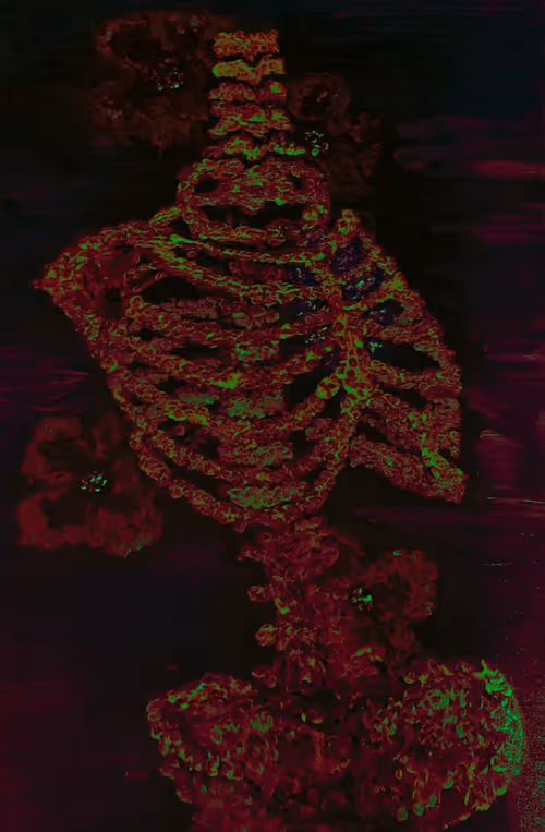 Item #22540126489752435044862496792027985557998753052937986612617412088089376980993 Media