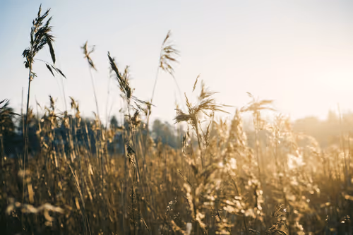 Item #103357970295316058088148646067446465384042318865679672817630305974871857823745 Media