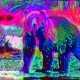 56217793699816248986222488004108541426472923207840297687166606642347505614868
