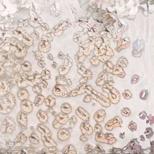 Item #58241160855422744817468407088196322100109565521561100950236906544244692353025 Media