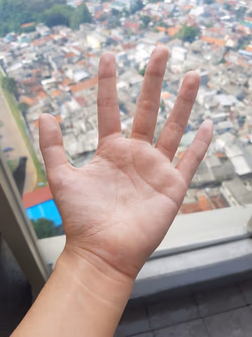 Item #37837909369823555079376321876607683334938098608696145656556243464632236244993 Media