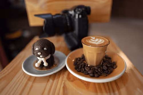 Item #51772862478669469185476174252729567868072360965500317838739462489656057135105 Media