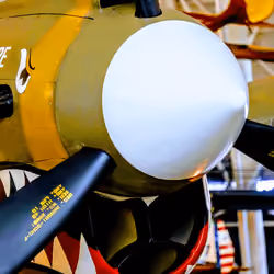 P-40 Tiger Shark