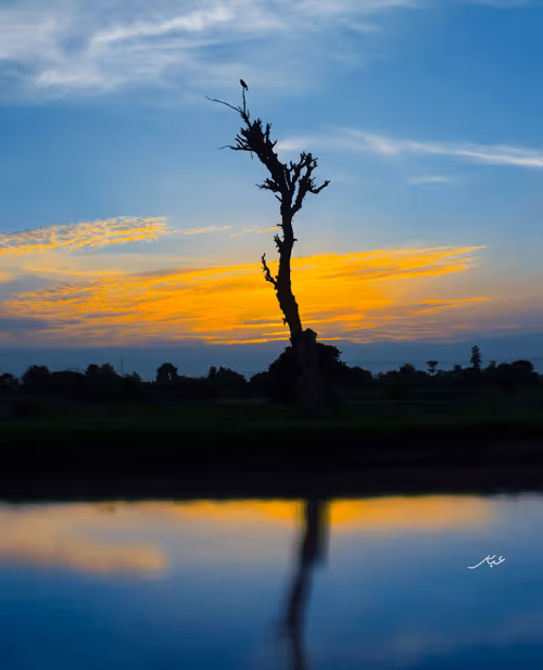 Item #9104047852343460824823657095955061139286762947505329334286274229101542768641 Media