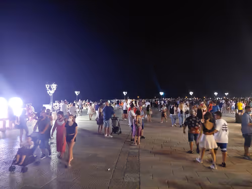 Item #43505702085321246701285015339688837487321998718285252344027785119359972671489 Media